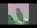 Outta Sight Outta Mind (feat. Die-Rek)