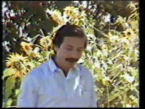 JAWAD GHAZIYAR - DO YAARE MASTEM TOBA SHEKASTEM