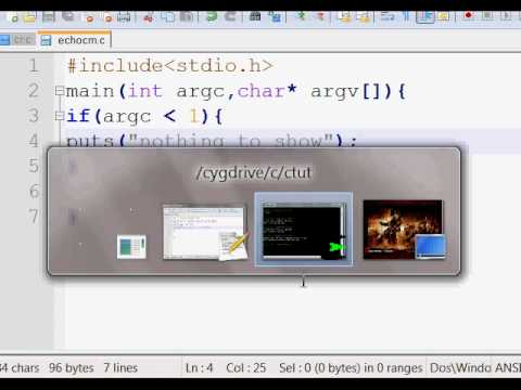 Linux Programming Implementing Echo Command In C