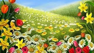 Beautiful Flower Wallpaper