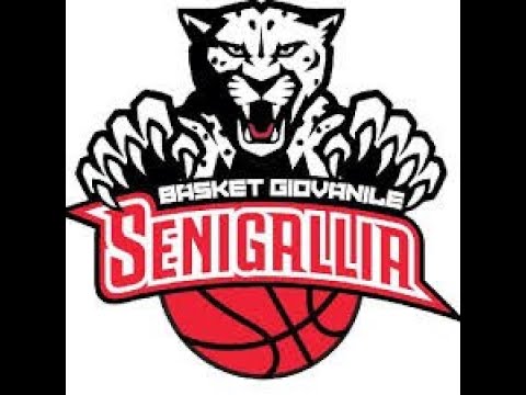 CARPEGNA PROSCIUTTO VL PESARO vs PALL. SENIGALLIA 67-54