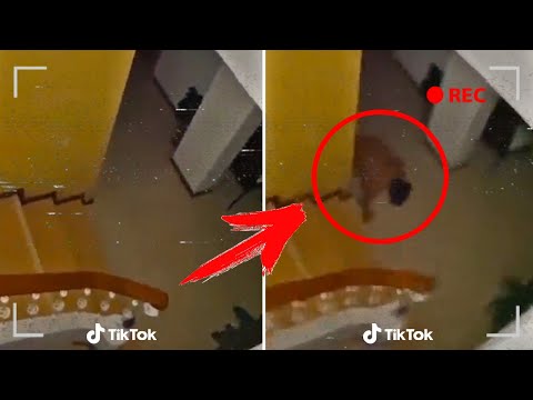 ТОП 5 САМЫХ ЖУТКИХ ВИДЕО СНЯТЫХ В TIK TOK. Самые мистические и странные видео в Тик Ток.