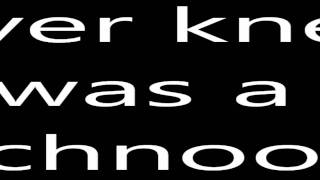 The Wombats -Techno Fan (lyrics)