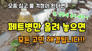 고추,가지,토마토,오이심고 잘 안자라고 물 걱정된다면 페트병만 올려 놓으면 모든고민이 해결됩니다 밭에 물 쉽…