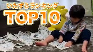 【育児あるある】我が家のパパは２歳息子のいたずらを見守る（いたずらは成長のチャンス!!）