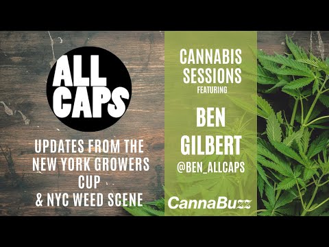 New York Growers Cup & NYC Weed Scene Update from Ben Gilbert, ALL CAPS