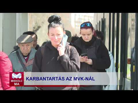 Videó előnézet