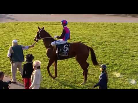 Belmont Park, 04/06/2016 - Race 8 - VEGA MAGIC - Sean Casey & Jake Casey
