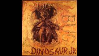Dinosaur Jr - Let It Ride