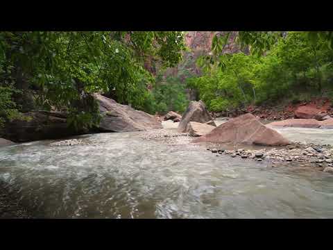 Natural Rhythms of flowing water in slow motion
