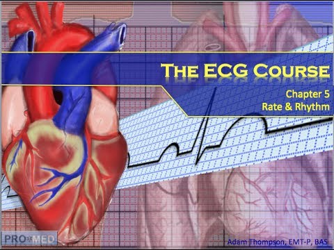 The ECG Course - Rate & Rhythm