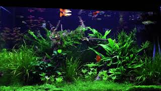 Miniatura filmu z YouTube