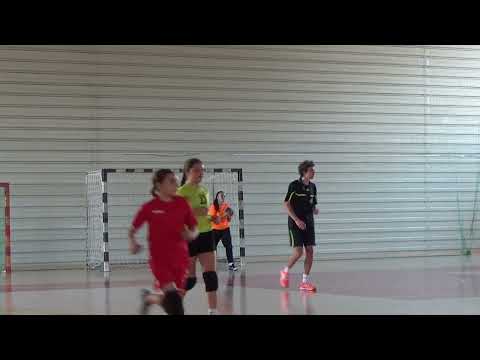 CSS Sibiu-CSS Valcea_29.10.2024_repriza3/2 (amical)