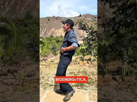 Alma, un lugar para ser (Parte 1)