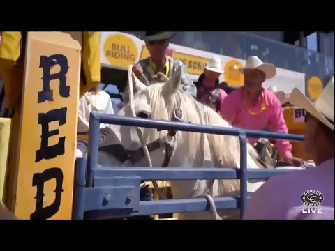 C5 Rodeo's Virgil | 2024 Red Bluff Round-Up