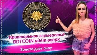🔥🔥🔥Золото бьёт рекорды, крипта растёт — что дальше с BDTCOIN?🔥🔥🔥