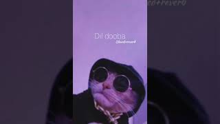 Dil dooba (slowed+reverb)
