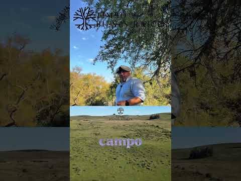 73 has espectaculares a la venta, Los Tapes, Lavalleja, Uruguay #tranquilidad #inversiones #uruguay