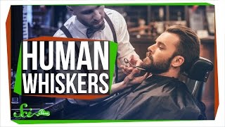 Why Don’t Humans Have Whiskers?