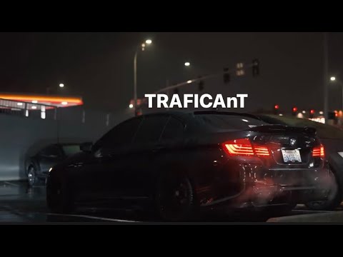 Loți Varga VP // TRAFICANT 2025 VIP MUSIC