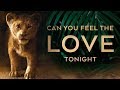 The Lion King Can You Feel The Love Tonight Evynne Hollens