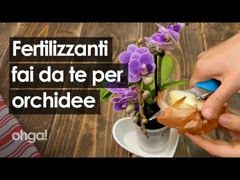 , title : 'Fertilizzante per orchidee: 3 preparazioni casalinghe per far fiorire la tua orchidea'