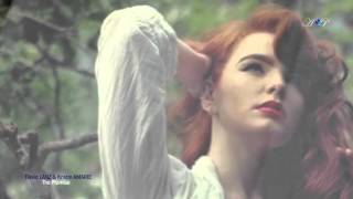 DAVID LANZ & KRISTIN AMARIE - The Promise