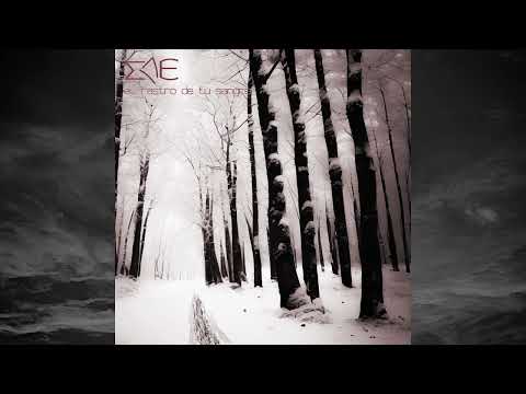 Video de la banda 17 Musas Envenenadas