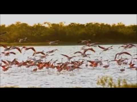 La Muerte del General interpreta Anibal Luis Pardeiro