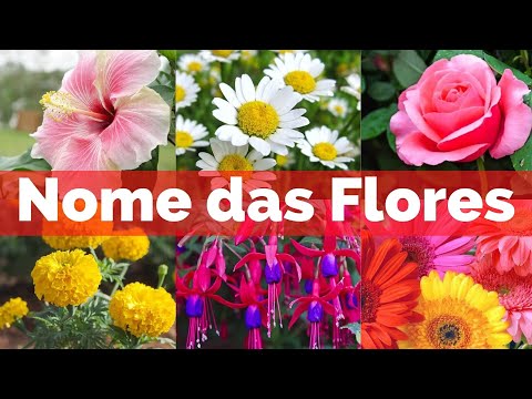 , title : 'Nome de 27 FLORES populares para ter no seu Jardim. #FloreseTerapia'