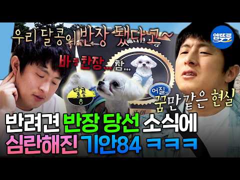 [나혼자산다] "우리 달콩이가 반장이 돼서~" 기안84 대신 어머님께 효도하는 반려견 알콩이&달콩이 | #기안84 MBC260522방송