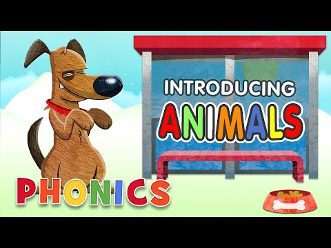 #BacktoSchool - Three Letter Words | Animals | Learn to Read | Alphablocks