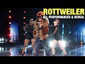 The Masked Singer Rottweiler: All Clues, Performances & Reveal