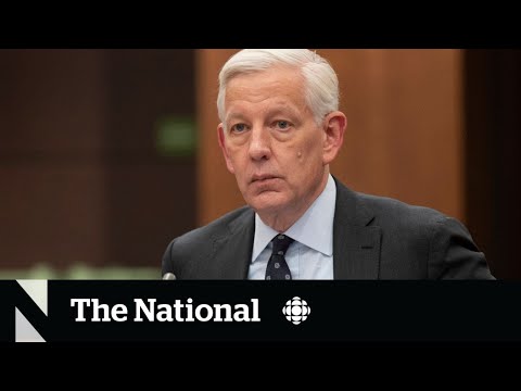 Former McKinsey director grilled over federal contracts