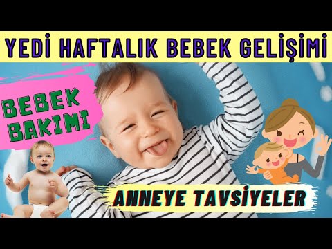 7 Weekly Baby Development (YOUR LIFE SEVENTH WEEK)