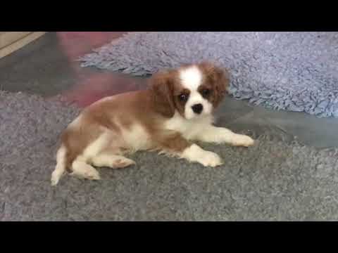 NARCISO & HIS FAMILY