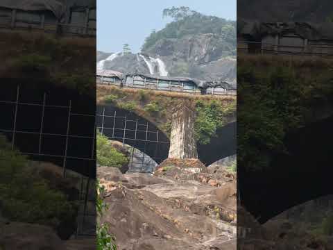 Dudhsagar Waterfalls Bridge Train Goa #dudhsagarwaterfalls #train #goa