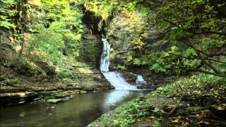 preview picture of video 'Deckertown Falls, Montour Falls, NY'