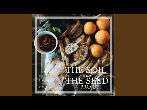 Wonderful Creator - The Soil and The Seed Project