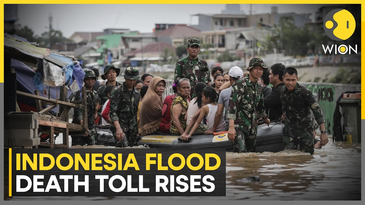 Indonesia Calls in Elephants After Deadly Floods Wreak Havoc | WION