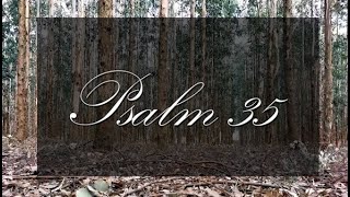 A reading of Psalm 35 with text from the New Living Translation