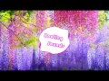 Fifth Harmony - Worth It ft. Kid Ink (Sunshine State Bootleg) Fifth Harmony - Worth It ft. Kid Ink (Sunshine State Bootleg)