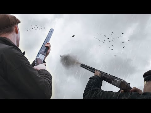 Devon Pheasants in the Rain