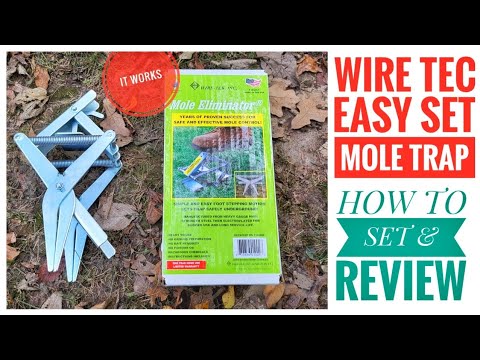 Testbericht Wire Tek 1001 EasySet Maulwurfsfalle – So wird's gemacht