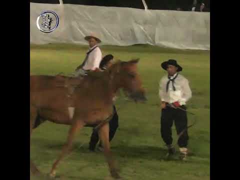Rueda del basto SOPLONA ENOJADA en Alejandra Santa Fe