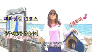 삼국통일 신라 문무왕의 발자취를 따르는 경주 해파랑길 11코스 #동영상