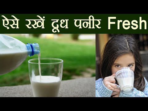 download lagu mp3 mp4 How Should Dairy Products Be Stored, download lagu How Should Dairy Products Be Stored gratis, unduh video klip How Should Dairy Products Be Stored