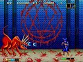 Magician Lord Arcade All Bosses