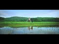 Whatsapp Status Video Basheerinte Premalekhanam Farhan Fasil Sana Althaf