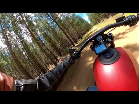 Riding to Belanglo Forest on my Harley Davidson to visit the scene of the Back Packers murders.